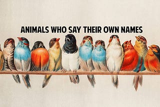 The Surprising Animals Who Say Their Own Names