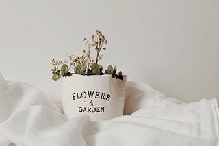 Aesthetic stock image of a white plant pot which says “flowers and garden” that sits upon a bed with white duvet covers. The image is purely for decorative use only to support the blog post on the Sunday Reset Routine.