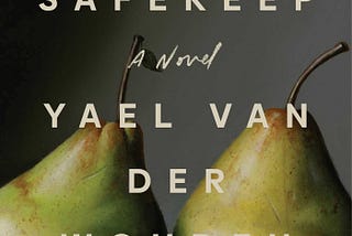 PDF The Safekeep By Yael van der Wouden