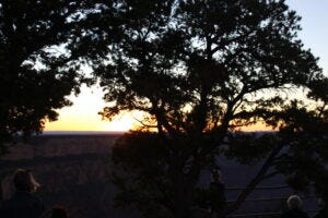 The Power of Persistence: What Online Entrepreneurs Can Learn from the Colorado River