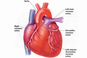 Types Of Heart Disease