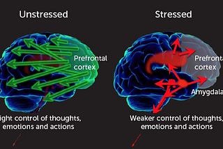 COVID-19’s Effect on Prefrontal Cortex