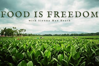 Food is Freedom: A New Interview Series by Sienna Mae Heath on Free the People
