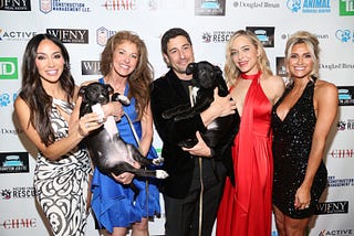 Inside NYC Second Chance Rescue 4th Annual Rescue Ball Gala
