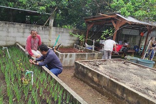 Diskusi dan Praktek Penanaman Bawang Merah di Pekarangan Rumah