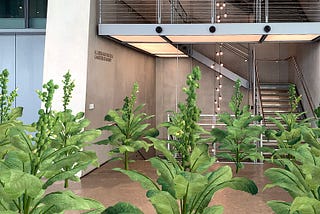 The lobby of the Whitney Museum with augmented reality tobacco plants growing from the floor