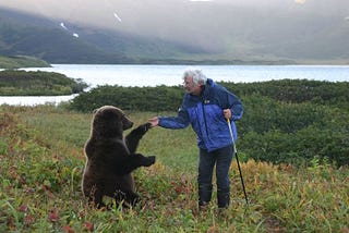 What the Aesthetic Tastes of Bears Say About People