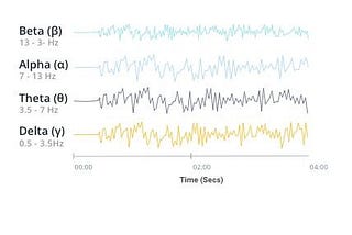 The Introductory Guide to EEG (Electroencephalography)