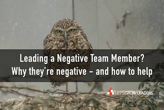 negative team member