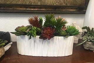 Succulent Arrangement Magic