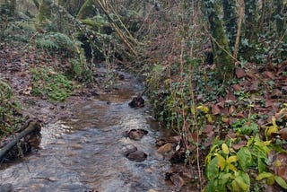 7. A Wander in Hinterland