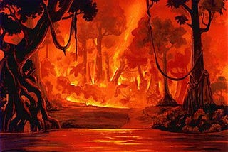 A forest on fire?