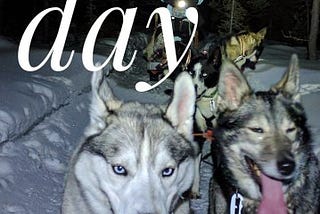 Dog sledding for beginners: How to be a musher for a day!