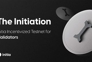 How to run Initia Validator node