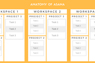 ASANA PROJECT MANAGEMENT — Everything You need to Know to be an Asana Hero
