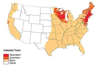 Geographic distribution of ticks and disease cases in the United States