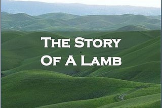 The Story Of A Lamb