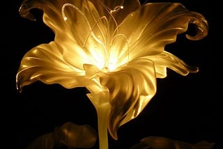 Golden Flower, Rose of Silver – A Masked Ball