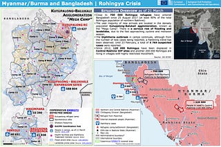 Lifelong Learning: The Rohingya Refugee Crisis