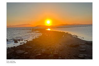 How I Create One Sustainable Innovation Concept Every Day — And Why You Should Too