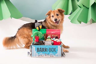 Finally, Something Dogs Can Bark About