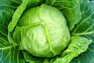 Cabbage, the Almost Perfect Food