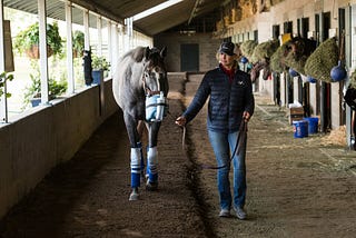 ​Winter Horse Health: Tips for Managing Biosecurity in Open Barns