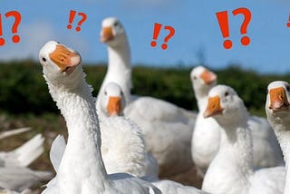 Be More Goose (a gander into leadership): Part III