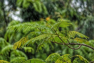 Rainfall Time Series Analysis and Forecasting