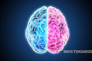 LEFT BRAIN VS RIGHT BRAIN