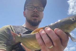 Catfish On The Fly