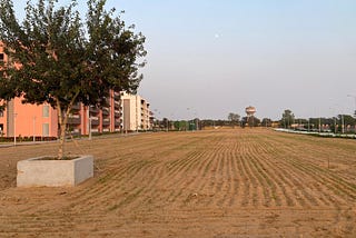 Wheat Cropping at MUJ Campus!