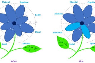 A Look Back Through the IHD Flower