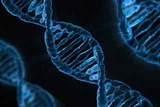 DNA Helix