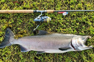 The Salmon Fishing Current blog: summer and fall 2025 edition