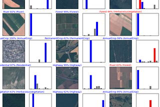 Satellite Intelligence: Using Deep Learning for Accurate Land-Use Detection