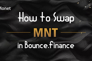 How to Swap MNT in Bounce.Finance