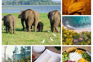 Visit Sri Lanka!