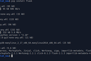 Developing a Simple Create, Read, Update, and Delete (CRUD) Application using Flask and MariaDB