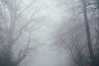 Picture of a foggy road.