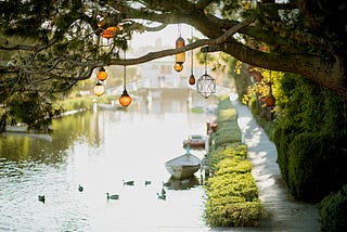 A river with a two boats on it and some ducks swimming around. A tree is on the side of the river and has lamps hanging from it. There is grass at the base of the tree leading to the river