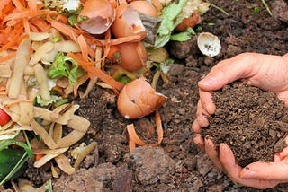 Composting: An Easy Way to Reduce Food Waste