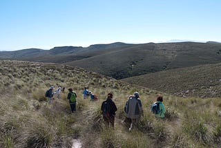 Celebrating Haarwegskloof Renosterveld Reserve