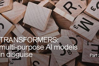 TRANSFORMERS: multi-purpose AI models in disguise