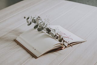 a journal open on a table with a small branch of greenery and baby’s breath resting across its spine