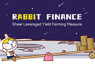 Bugs Hunter Wanted, the Rabbit Finance Bounty Program is Now Live!