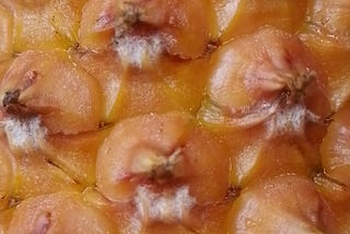 Registro XXVI ~ Da casca, o chá