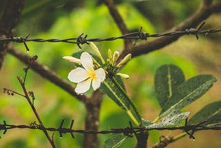 5 Steps HR Leaders Can Take to Fight Modern Slavery