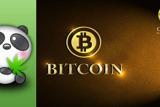 Austrian Brokerage Service Bitpanda Adds Full Bitcoin Cash Integration Alongside Offering Full BCH…