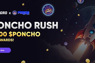 Announcing the 2,000 PONCHO RUSH — Season 1!